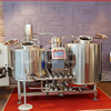 300L liten hembryggd självbryggande ölutrustning Craft Micro Brewery Plant for Hotel
